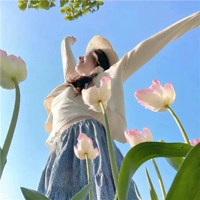笨贼龙虎榜